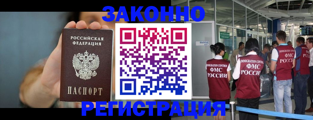 прописка поиск в Ельне
